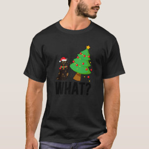 Camiseta Qué Navidades de gato tortie Tortoiseshell Cat Xma