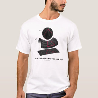 Camiseta ¿Qué universo usted vive adentro?