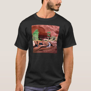 Camiseta Quebrada Escalante Riverutah del coyote del