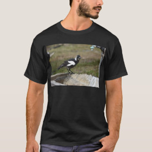 CAMISETA QUEENSLAND RURAL NEGRO Y BLANCO AUSTRALIA DE LA
