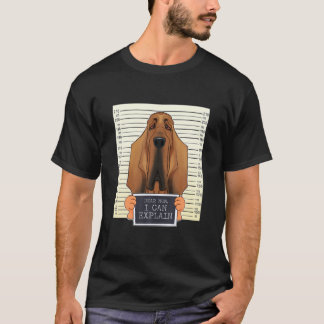 Camiseta Querida mamá, puedo explicarle que he matado a mi 