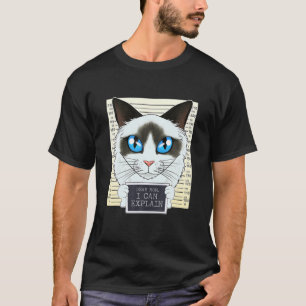 Camiseta Querida mamá, puedo explicarle que soy la mamá de