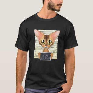 Camiseta Querida Mamá, puedo explicarme que soy una madre