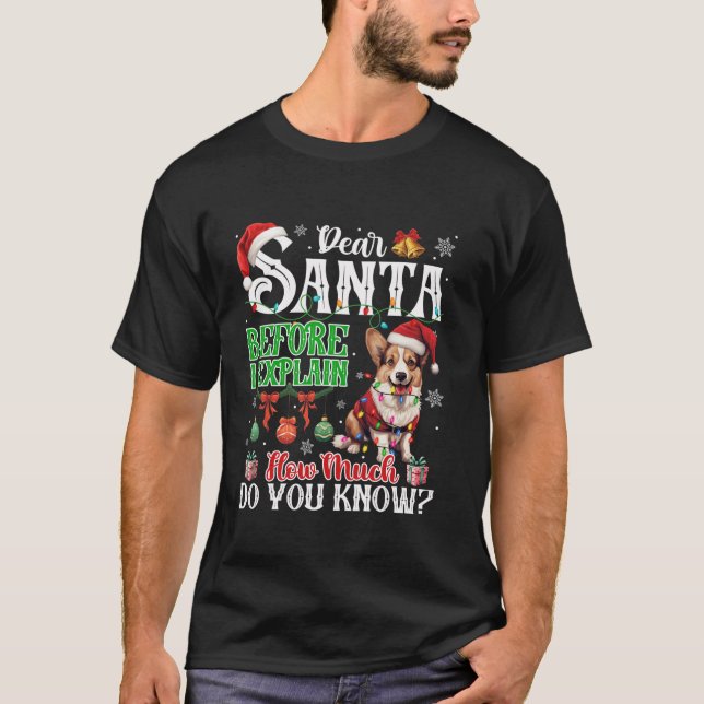 Camiseta Querido Papá Noel Antes De Explicar Cuánto Sabes G (Anverso)