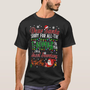 Camiseta Querido Papá Noel, Lo Siento Por Todo El Secreto D
