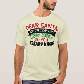 Camiseta Querido Santa antes de que explique cuánto sabes
