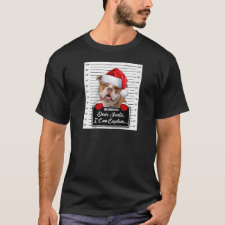 Camiseta Querido Santa I puedo explicar a Navidades gracios