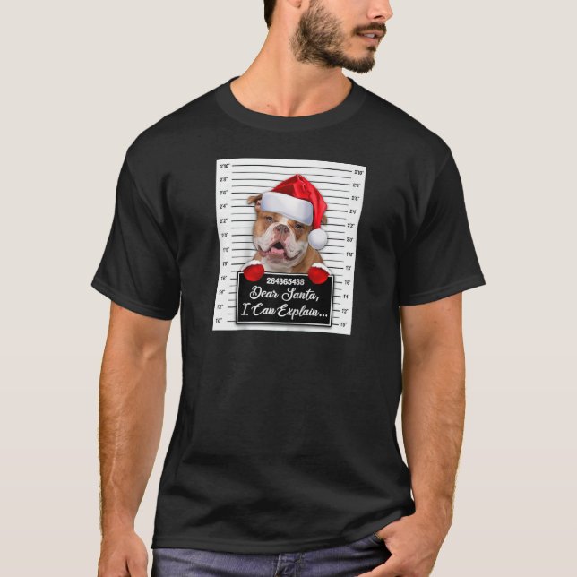 Camiseta Querido Santa I puedo explicar a Navidades gracios (Anverso)