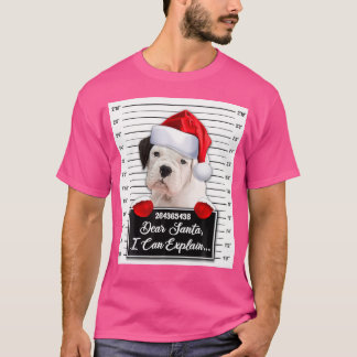 Camiseta Querido Santa, puedo explicar graciosos Navidades 
