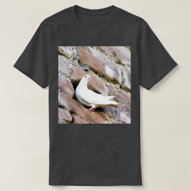 Camiseta ¿Quieres venir en 1? (Diseño del anverso)