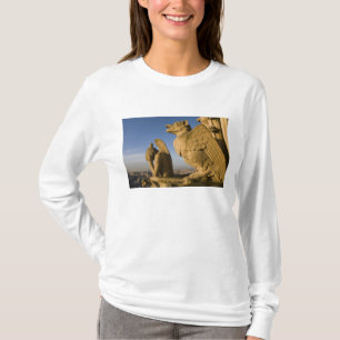 Camiseta Quimera en la fachada de la Catedral de Notre Dame