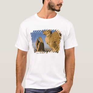 Camiseta Quimera en la fachada de la Catedral de Notre Dame