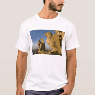 Camiseta Quimera en la fachada de la Catedral de Notre Dame