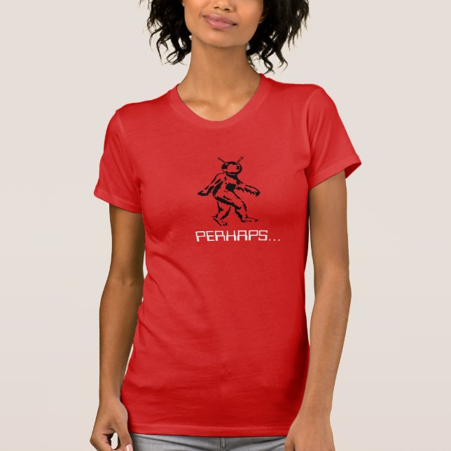 Camiseta Quizás… (Anverso)