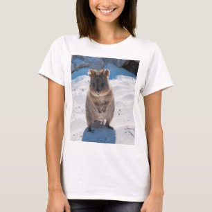 Camiseta Quokka, isla Rottnest, Australia