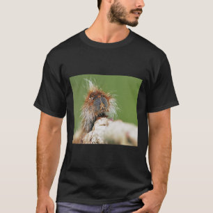 Camiseta R1191 Finalización 2021 Papillon Du Futur C T Olav
