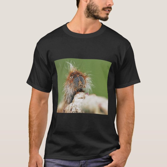 Camiseta R1191 Finalización 2021 Papillon Du Futur C T Olav (Anverso)