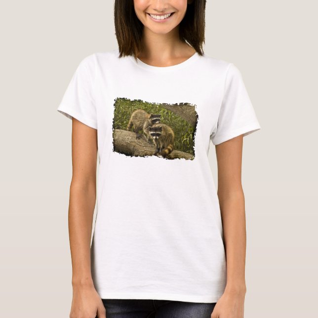 Camiseta Raccoons (Anverso)