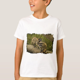 Camiseta Raccoons