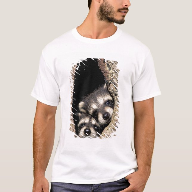 Camiseta Raccoons para bebés en cavidad de árbol Procyon (Anverso)