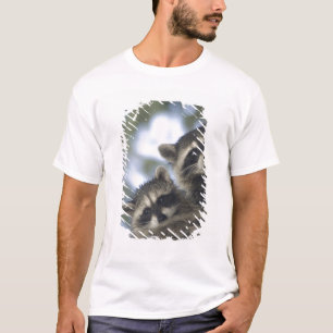 Camiseta Raccoons Procyon Lotor) del lago Pescado, Central