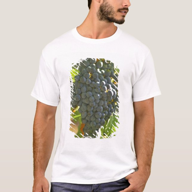 Camiseta racimo de uva Cabernet Sauvignon en el Chateau (Anverso)