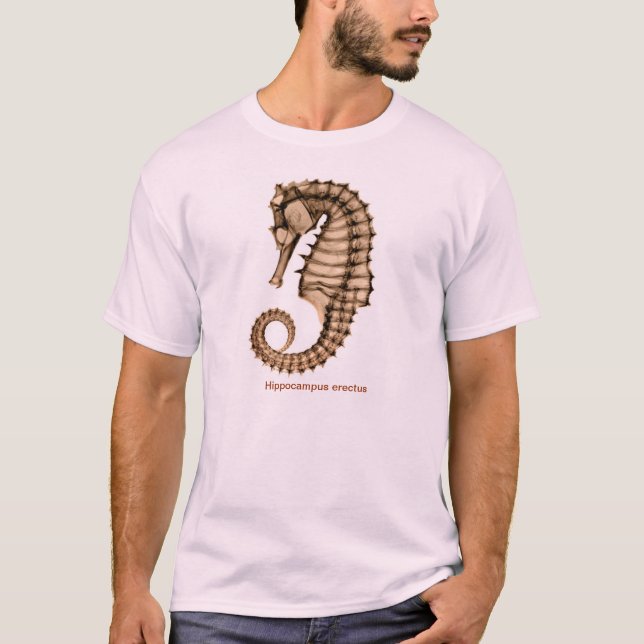 Camiseta Radiografíe el frente del erectus del hipocampo (Anverso)