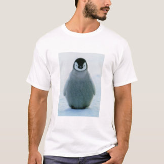 Camiseta Rafael