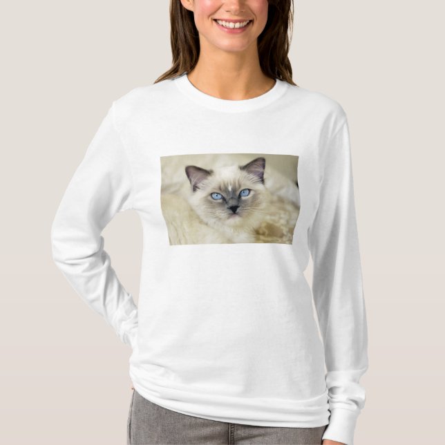 Camiseta Ragdoll kitten (Anverso)