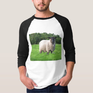 Camiseta Raglán básico de la manga de Sheal 3/4