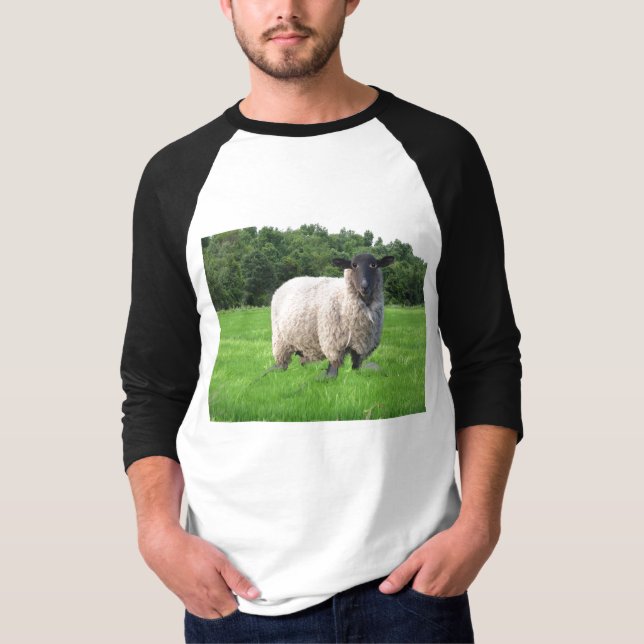 Camiseta Raglán básico de la manga de Sheal 3/4 (Anverso)