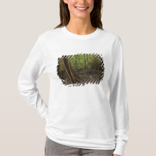Camiseta Raíces Contrafuerte. Selva Tropical, Mapari Rupunu