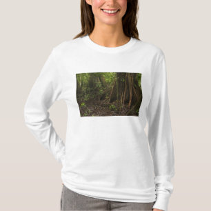 Camiseta Raíces de la Fortaleza. Bosque tropical, Mapari R