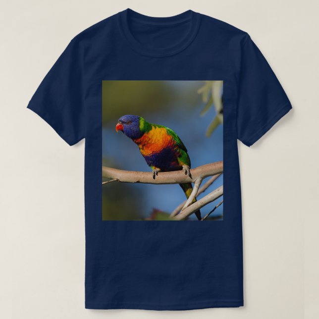 Camiseta Rainbow Lorikeet 4 (Diseño del anverso)