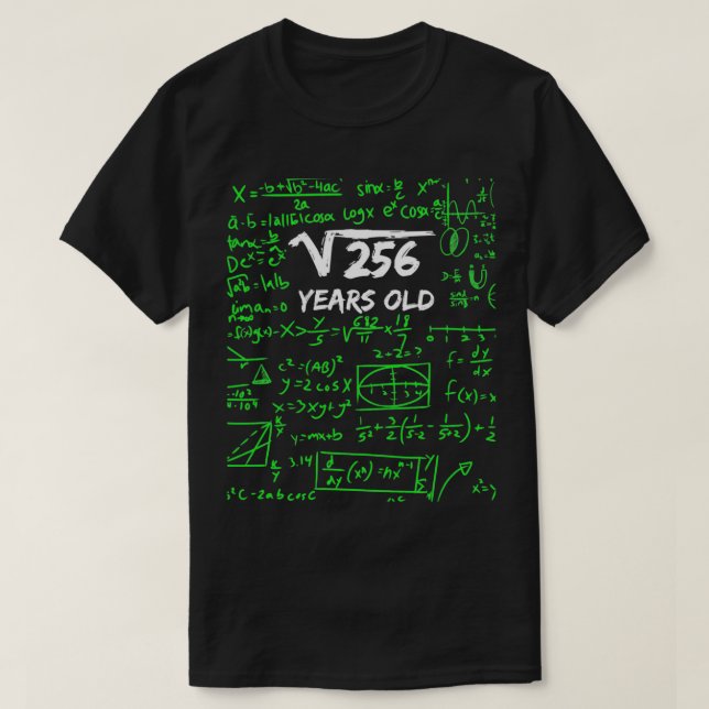 Camiseta Raíz cuadrada de 256 16º cumpleaños Gif de 16 años (Diseño del anverso)