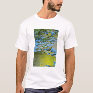 Camiseta Rama sur del río Wilson, Oregón