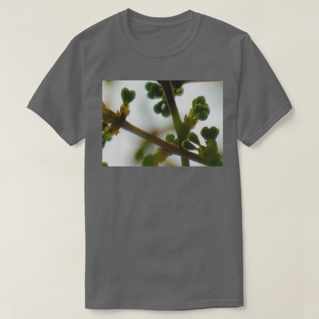 Camiseta Ramas del árbol de ciruelas con brotes en forma de (Diseño del anverso)