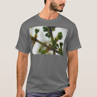 Camiseta Ramas del árbol de ciruelas con brotes en forma de