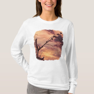 Camiseta Ramas y pájaros del cielo púrpura