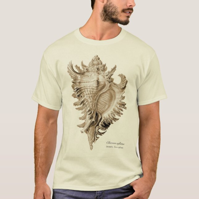 Camiseta Ramosus de Chicoreus (inflatus de Chicoreus). (Anverso)