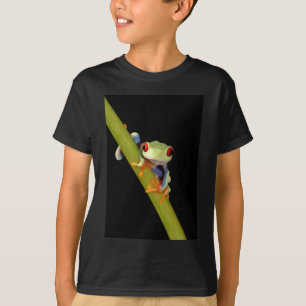 Camiseta rana arbórea observada rojo