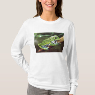 Camiseta Rana arborícola de ojos grandes, Leptopelis vermic