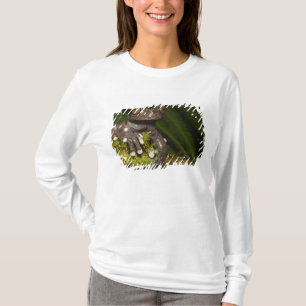 Camiseta Rana arborícola de Tapichalaca cautiva Hyloscirtus