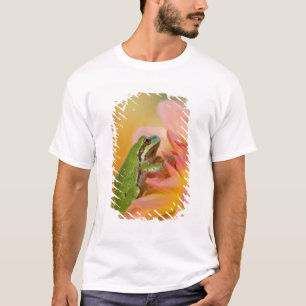 Camiseta Rana arborícola del Pacífico sobre flores en nuest