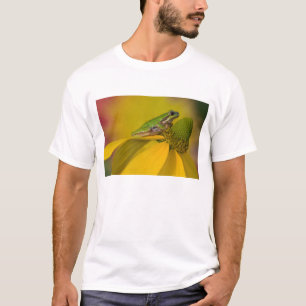 Camiseta rana de árbol del Pacífico en flores en nuestro ja