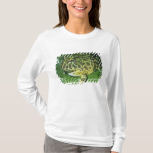 Camiseta Rana de cuerno ornado (Ceratophrys ornata),