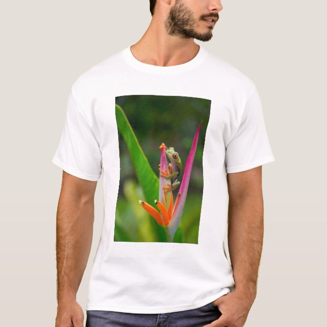 Camiseta Rana de los ojos rojos, Costa Rica (Anverso)