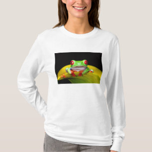 Camiseta Rana de ojos rojos, Agalychinis callidryas, Nativa