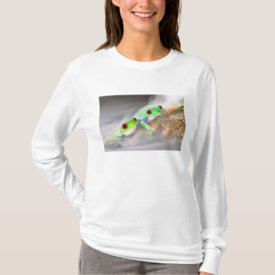 Camiseta Rana de ojos rojos en la niebla, Agalychinis 2