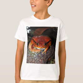 Camiseta Rana del tomate